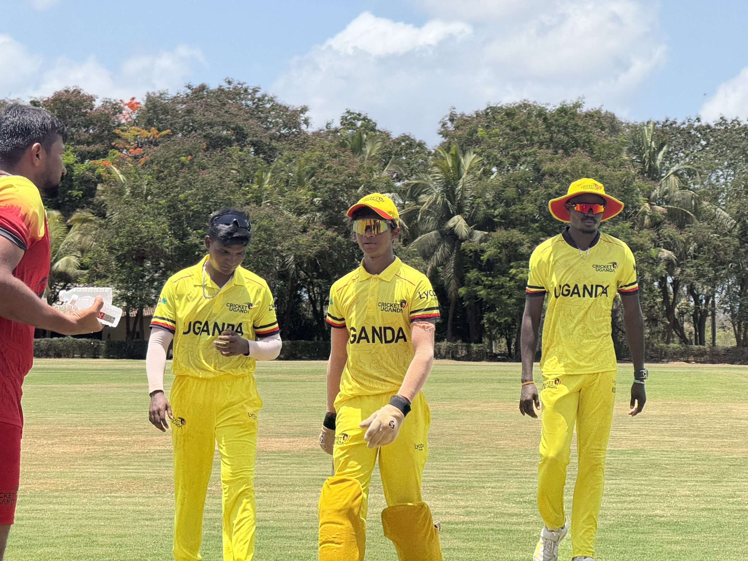 Runs & Wickets